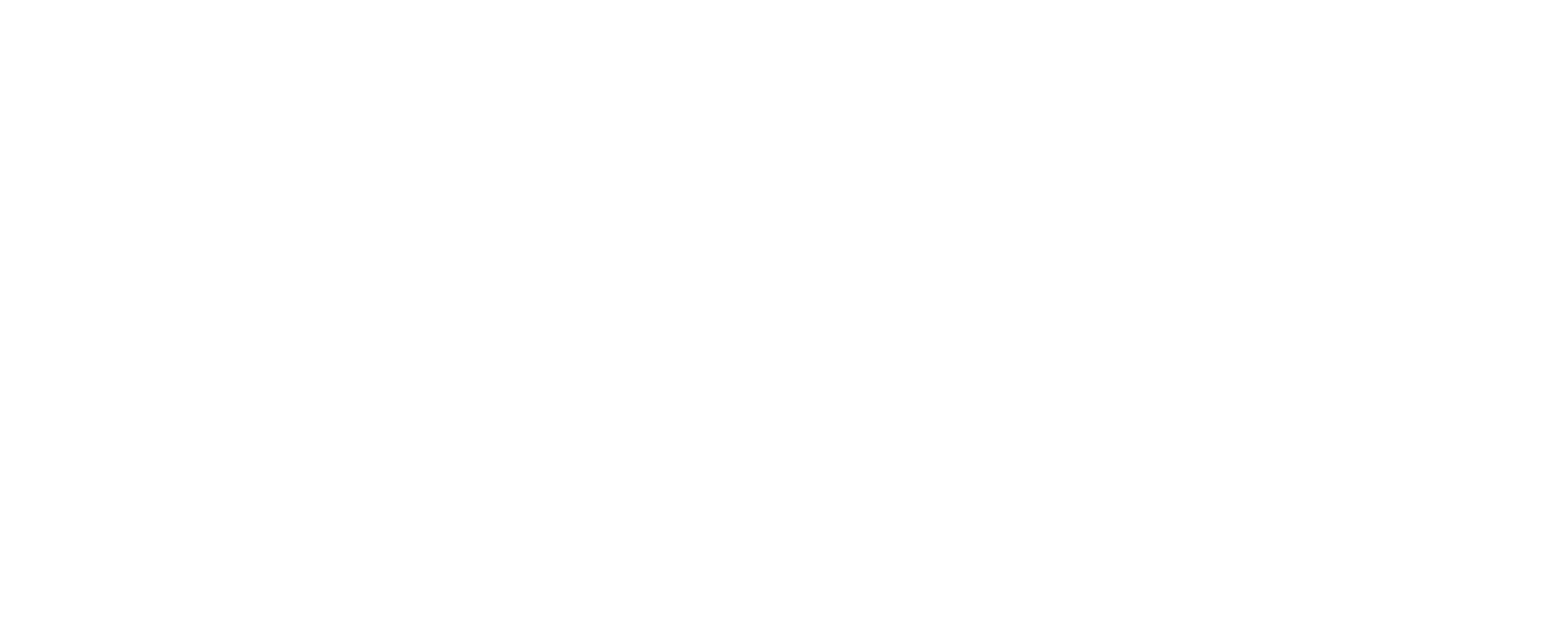 America Mission™