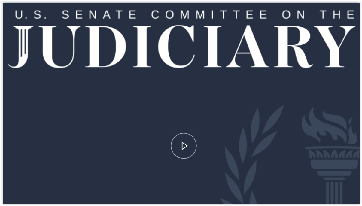 Senate Judiciary Subcmte: ICE Under Fire